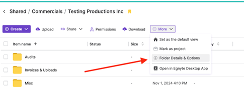 Folder Detail and Options.png